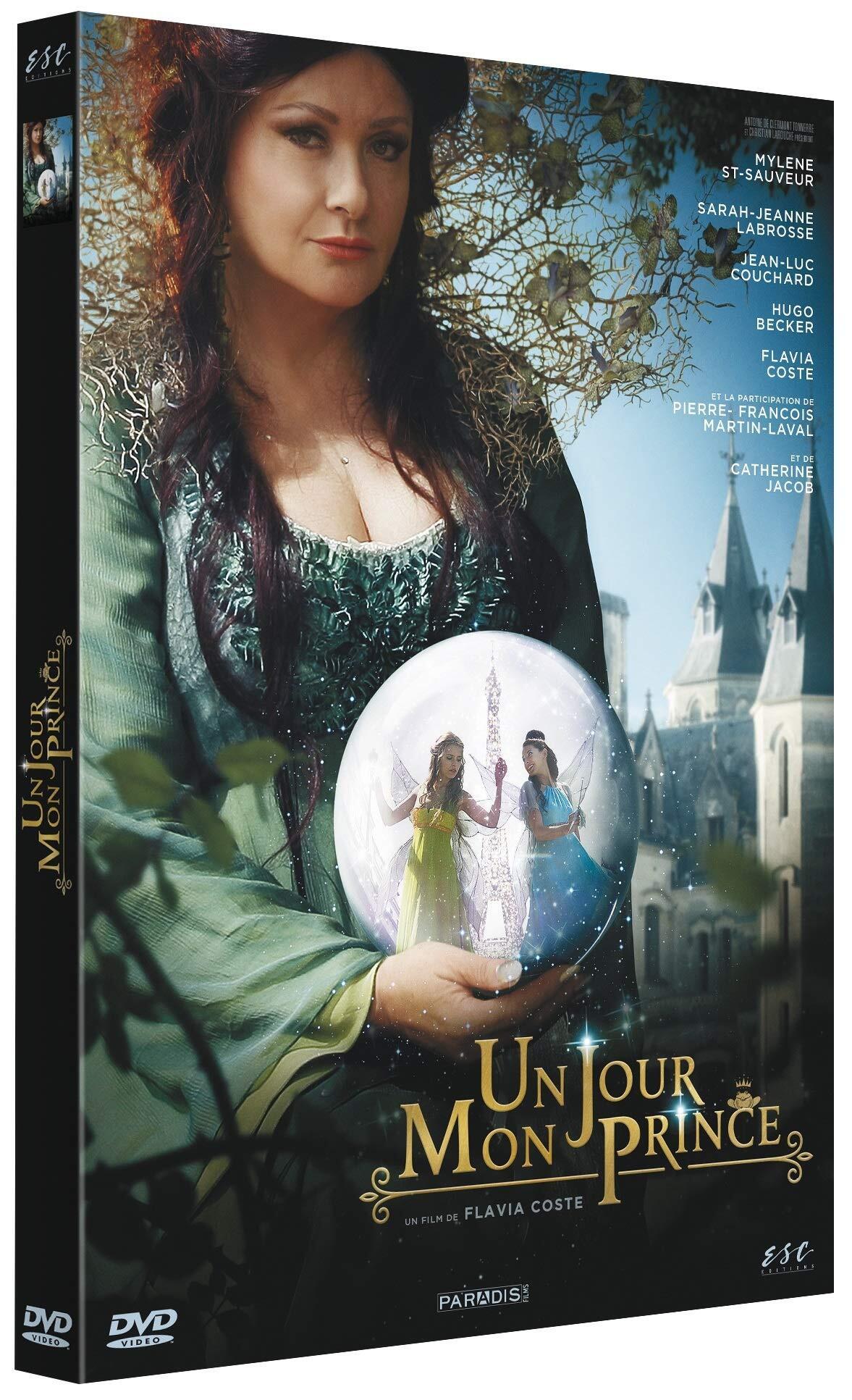 Acheter Un Jour Mon Prince État correct - 12,09 € Un Jour Mon Prince État correct - reconditionné disponible sur Label Emmaüs